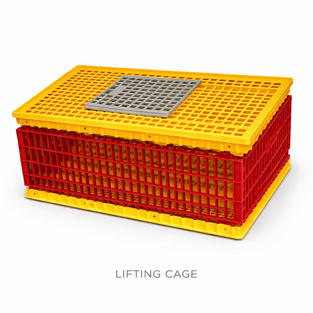 Lifting Cage